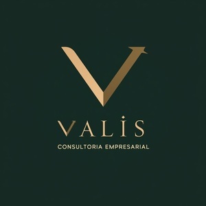 Valis Consultoria Empresarial